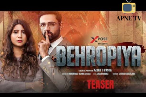 Review of the Punjabi Movie Behoropia