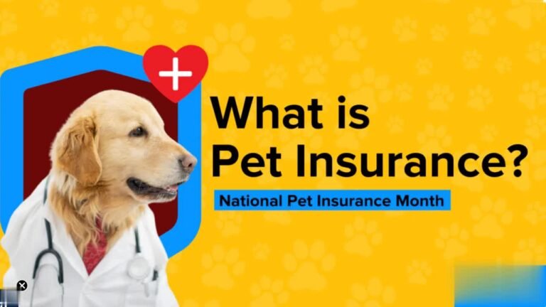 pet insurance coverage