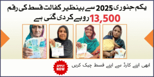 How to Apply for BISP 2025 Apnetve